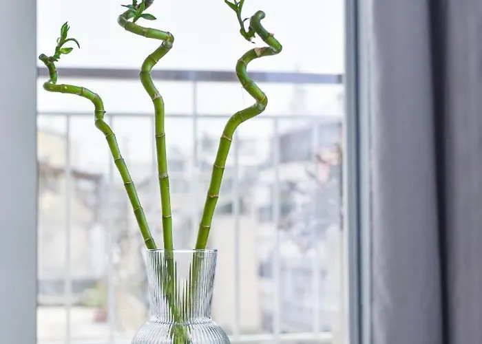 Glassy Apartment