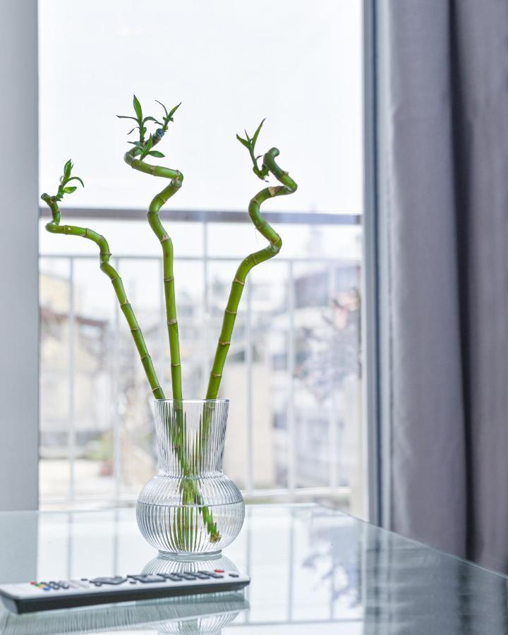 Apartment Glassy Athens